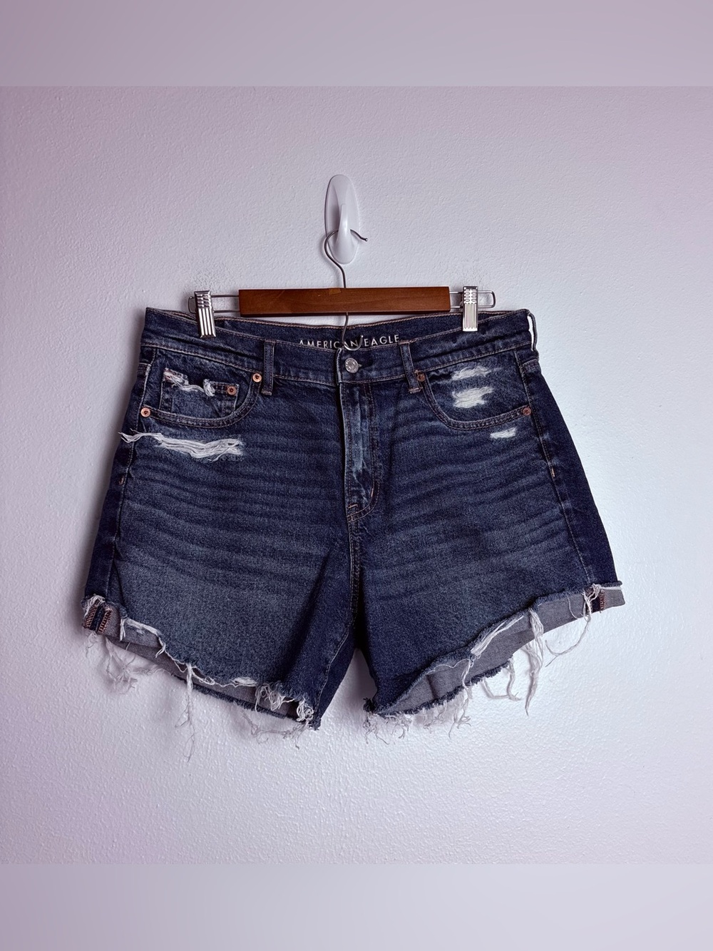 American Eagle Strigid Super High-Waisted Relaxed Denim Shorts Size 10